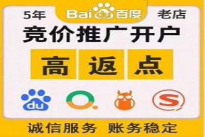 竞价广告的胜利者：某公司如何借助竞价推广公司实现业绩突破